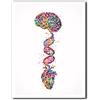 Tanyang Cervello Cuore Dna Acquerello Stampa Scienza Arte Murale Arte Medica Anatomia Clinica Decoro Cuore E Cervello Ufficio Decorazione Parete 30X40Cm Senza Telaio