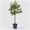 EDG Enzo De Gasperi Mandarino con Vaso H 76 Cm Pianta Artificiale Mix Verde