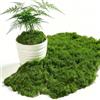 ChaneeHann 200g Muschio Stabilizzato Verde Scuro, Muschio Finto per Decorazioni per Pareti, Camerette, Acquari, Modellismo, Piante Artificiali, Decorazione Casa