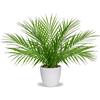 Oairse Pianta artificiale in vaso, 40,6 cm, decorazione moderna di palma artificiale, in plastica, per soggiorno, balcone, camera da letto, bagno, camera da letto, tavolo, bianco