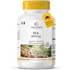WARNKE VITALSTOFFE PEA 600mg - 250 compresse - 1200mg per dose giornaliera - ALTO DOSAGGIO - facili da deglutire - Palmitoiletanolamide - Qualità farmaceutica tedesca - vegano | Warnke Vitalstoffe