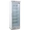Vetrina Freezer Verticale Per Gelati e Semifreddi 300 Litri -15°C/-20°C