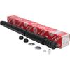 MASTER-SPORT 2x Ammortizzatore Posteriore A pressione del gas Compatibilità con RENAULT Clio III Hatchback BR0/1, CR0/1 315154-PCS-MS