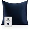 RUIPTSKE Federa per cuscino al 100% in seta da 22 momme certificata Oeko-TEX®, benefica per i capelli e per la pelle, anti età e antiacaro, 40 x 40 cm (blu)