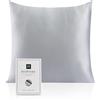 RUIPTSKE Federa per cuscino al 100% in seta da 22 momme, certificata Oeko-TEX®, benefica per i capelli e per la pelle, anti età e antiacaro, 60 x 60 cm (grigio)