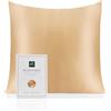 RUIPTSKE Federa per cuscino al 100% in seta da 22 momme, certificata Oeko-TEX®, benefica per i capelli e per la pelle, anti età e antiacaro, 40 x 40 cm (champagne)
