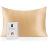 RUIPTSKE Natural Silk Federa, ipoallergenico, 22momme, 100% Seta, 600 Filati, con a Scomparsa Cerniera (Champagne, 50x66cm)