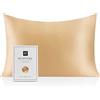 RUIPTSKE Natural Silk Federa, ipoallergenico, 22momme, 100% Seta, 600 Filati, con a Scomparsa Cerniera (Champagne, 50x75cm)