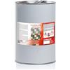 GEAL - Pietra Ton Antimacchia Tonalizzante e Impregnante, 5 l | Dona Effetto Bagnato e Lucentezza su Marmo, Granito, Ardesia, Pietra Naturale, Graniglia, Betonelle e Similari.