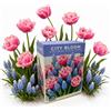 Nojaus Sėklos Nojus - City Bloom - Pink Frost Bulbi di tulipano e muscari 30 | Miscela di tulipani, giardino primaverile, tulipani da giardino, confezione di bulbi da fiore, set di 30 bulbi