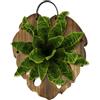 Generico Porta orchidee in legno da parete Tavola Da Parete In Legno Verticale A | Porta Piante Aeree Per Decorazione Interno Esterno Giardino Soggiorno Monstera Rampicante Orchidee