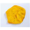 Negozio24ore Panarium Pinsette alla Curcuma 140 g