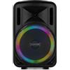 Selius Altoparlante karaoke portatile da 700 W con woofer da 12 pollici, Bluetooth e luci LED
