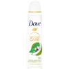 Dove - Deodorante spray Advanced Care, tè verde matcha e fiori di Sakura, confezione da 6 pezzi, 150 ml