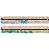 herlitz 50033614 - Righello in 100% legno FSC, 17 cm