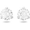 Swarovski Stilla Collezione clous d'oreilles