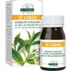DR.GIORGINI SER-VIS Srl THE Verde Estr.Tit 60Past.SVS