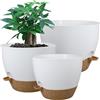 UOUZ - Grandi vasi autoirriganti in plastica con fori a elevato drenaggio e profondo serbatoio, per piante e fiori da giardino da interni ed esterni, 30,5/25,4/22,9 cm, bianco e marrone