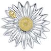 Bling Jewelry Due Toni Grande Moda Dichiarazione Giardino Coccinella Sole Fiore Margherita Sciarpa Spilla Per Le Donne Argento Placcato Oro