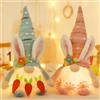 DQQYNAPTIX 2 Unità di Figure di Gnomi di Pasqua Illuminati, Decorazione Pasquale con Coniglio e Gnomo con Luce LED, Peluche Gnomi Pasquale, Figura di Coniglietto Gnomo Fatta a Mano per Decorazione Primaverile(I)