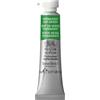 Acquerelli Professionali Tubo 5ml Verde Vescica Permanente Pigmenti Artisti Vivi
