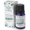 Generico Olio Aromatizzato STAMFORD 10ml - ALTA QUALITA' - SALVIA BIANCA
