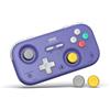 IINE Retro Pocket Game Controller with Hall Effect Joysticks, Switch 1 & 2 Compatible, Wireless Gamepad for Steam Deck, PC, Android, iOS, Customizable D-Pad, Vibration & Motion Control (Purple)