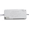 CNANRNANC Driver LED 240-300mA per Lampade da Soffitto, Trasformatore Non Isolato con Protezioni Multiple per Faretti e Pannelli Luce, Input AC165-265V(60-80W)