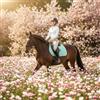 TGW RIDING Sottosella per cavallo inglese di alta qualità, trapuntato, design quadrato, disponibile in rosa, verde menta e rosso, ecc., multiuso, con cinghie per sottopancia (verde menta)