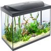 Tetra Starter Line 80 L - Set completo acquario con illuminazione LED, nero | Con illuminazione giorno e notte | Acquario stabile per bambini o principianti | Con tecnica, mangime e prodotti per la cura