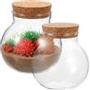 ADOCARN Vaso in Vetro Micro Paesaggio Tappo Sughero 2 Pezzi | Forma Sferica Trasparente, 11x10x10cm, per Sabbia, Ghiaia e Piante d'Aria, Ufficio