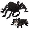 Generico Costume Di Halloween Per Gatti Di Travestimento Gatti Vestiti Neri | Vestiti Cosplay Halloween Per Animali Domestici Casa Uscite Fotografia Viaggi Vacanze Giardino