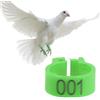 Tnfeeon 100PCS/Bag 8MM Anelli di Plastica per Fasce per Piccioni, 001-100 Anelli per Fasce per Uccelli Numerati con Numero (Greeb)