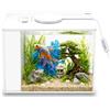 MeYuxg Set completo piccolo acquario in vetro trasparente, acquario nano in acrilico da 3,7 l, con pompa filtro, illuminazione a LED, set di base per piccoli pesci, gamberetti e piante (bianco)