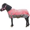 Gallopoff 1200D Pony/Shetty - Coperta per cavalli senza imbottitura (0 g), leggera, impermeabile, traspirante e antistrappo, per puledri, mini cavalli, cavalli nani, piccoli cavalli e miniponys