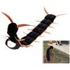 Generic Costume di Halloween per gatti e cani di piccola taglia | Divertente costume da gatto Scolopendra, in peluche, con gambe multiple, regolabile, per cosplay, feste