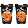 Ajinomoto Chicken Teriyaki Dish Noodles - 96gr (Confezione da 2)