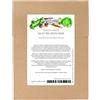 Magic Garden Seeds Misticanza - set di semi con 4 gustose piante per il tradizionale mix di insalata italiana