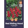 AGRONOM Tested in the garden AGRONOM | TULIPANI - RED REDDING HOOD | Bulbi Tulipani | Bulbi fiori perenni | Fiori Rosso | Sono piantati in giardini fioriti, in prati fioriti | I meravigliosi fiori | Confezione da 4 Bulbi fiori