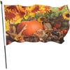 Newhomestyle Bandiere autunnali per esterni, striscione a forma di zucca autunnale, colori vivaci e resistenti allo sbiadimento, in poliestere, 90 x 150 cm, da appendere all'esterno, bandierine standard per casa