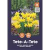 AGRONOM Tested in the garden AGRONOM | Bulbi Narcisi - TETE- A-TETE | Bulbi fiori perenni | Fiori Giallo | I fiori meravigliosamente profumati sono piuttosto grandi, solitari o concentrati | Confezione da 3 Bulbi fiori