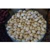 Generic Patate da semina in formato mini-tuberi per la produzione nell'orto famigliare diverse varietà e quantitativi (Cipolla bianca Snowball, 500 grammi)
