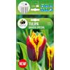AGRONOM Tested in the garden AGRONOM | TULIPANO GAVOTA SPECIAL | Bulbi da fiore perenni | Fiori bicolore | Da piantare in autunno, per giardino, balcone e vaso | 5 bulboi