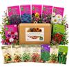 Nojaus Sėklos Nojus - Set di semi per giardino da terrazza - 15 varietà - Semi di fiori, erbe aromatiche e ortaggi per balconi, terrazze e vasi - Semi da giardino - Scatola di semi - 15 confezioni