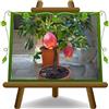 EURO PLANTS VIVAI Agrumi Limone Rosso pianta da frutto vaso 22 cm | Fioritura molto profumata, Elevato valore decorativo - Citrus Limonimedica Pigmentata - Altezza 60~80 cm