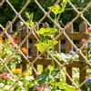 MDDK DY Rete da giardino in iuta naturale, 1 m x 5 m, per piante rampicanti e supporto vegetale