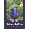 AGRONOM Tested in the garden AGRONOM | TULIPANI - TRIUMPH BLUE | Bulbi Tulipani | Bulbi fiori perenni | Fiori Blu | Sono piantati in giardini fioriti, in prati fioriti | I meravigliosi fiori | Confezione da 4 Bulbi fiori