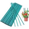 KAHEIGN 100 Pezzi Bastoncini Di Supporto Per Piante, 30CM Pali Di Bambù Supporto Diviso Bastoncini Di Canna Per La Casa Fiori Da Giardino Pianta Floreale (Verde)