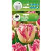 AGRONOM Tested in the garden AGRONOM | TULIPANO YASMINE | Bulbi da fiore perenni | Fiori rosa | Da piantare in autunno, per giardino, balcone e vaso | 5 bulboi