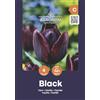 AGRONOM Tested in the garden AGRONOM | TULIPANI - BLACK | Bulbi Tulipani | Bulbi fiori perenni | Fiori Nero | Sono piantati in giardini fioriti, in prati fioriti | I meravigliosi fiori | Confezione da 4 Bulbi fiori
